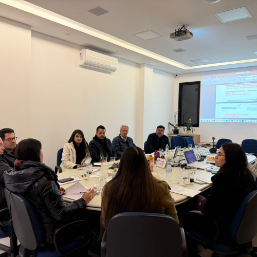 imagem_2025-06-25_184313155